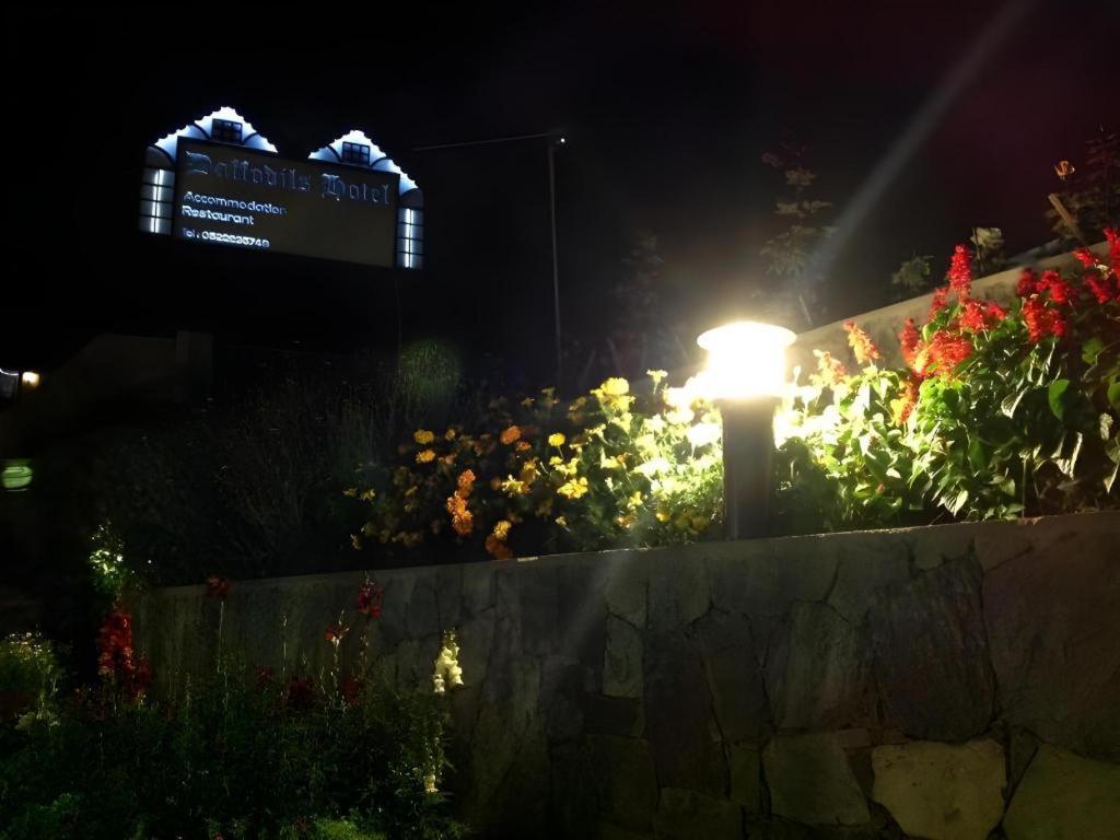 Daffodil'S Hotel Нувара-Элия Экстерьер фото